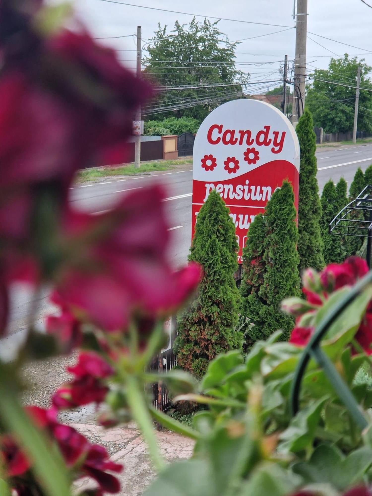 Candy Pensiune&Restaurant Dumbrava Rosie Екстер'єр фото